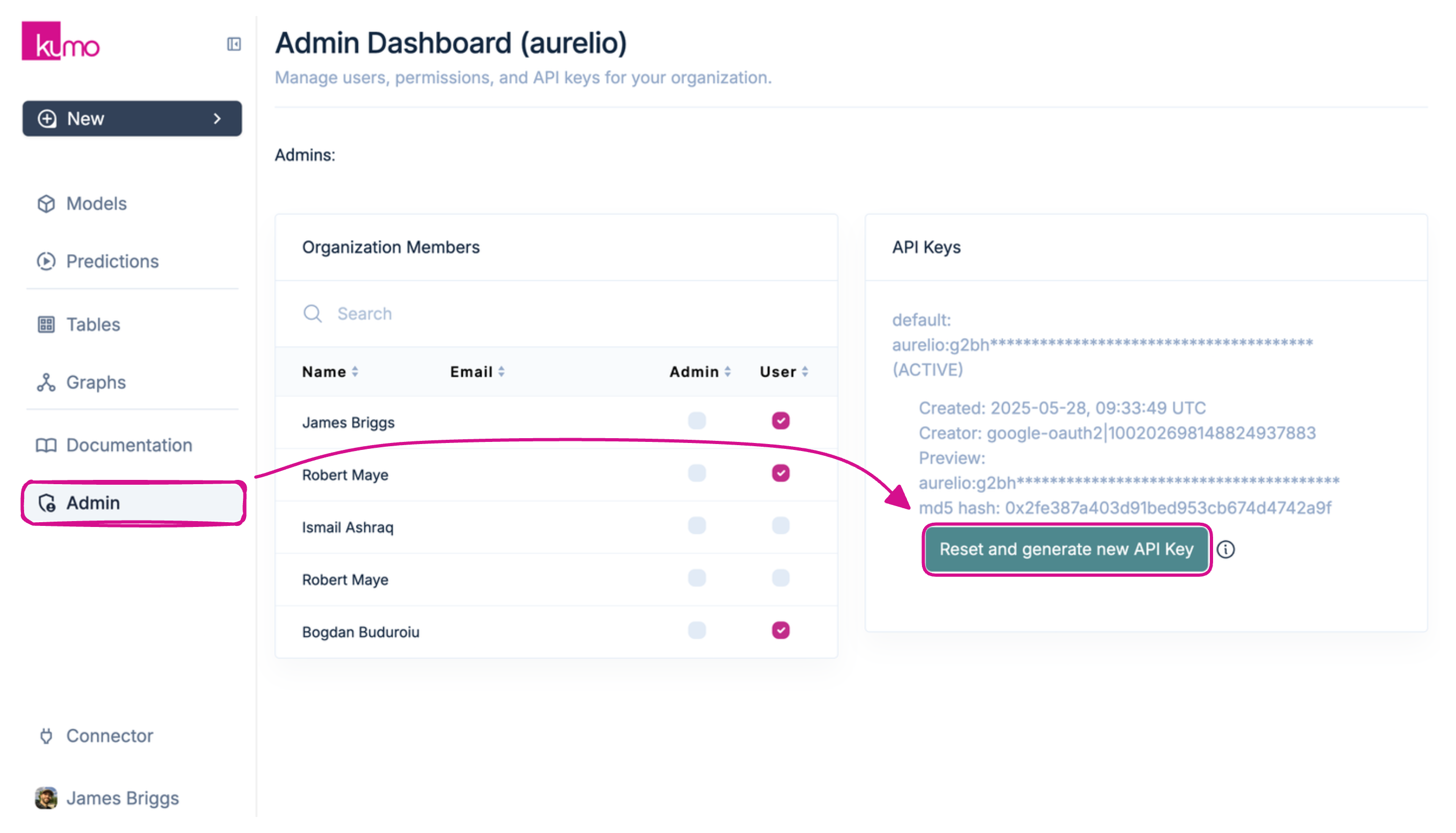 Kumo AI dashboard API keys section
